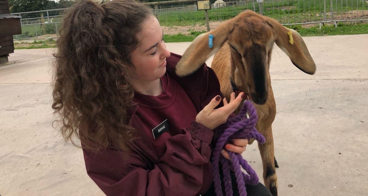 sophie and goat