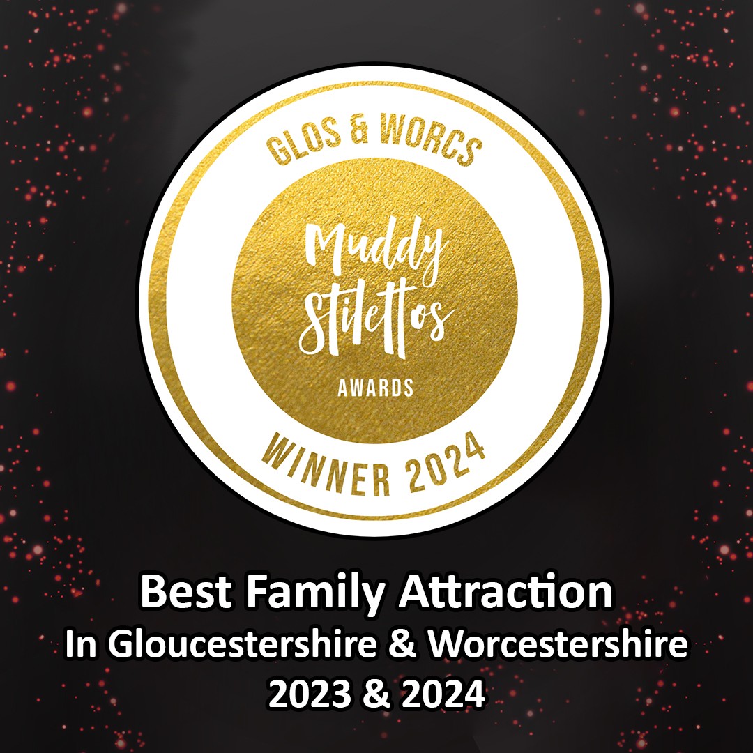 Muddy Stillettos awards