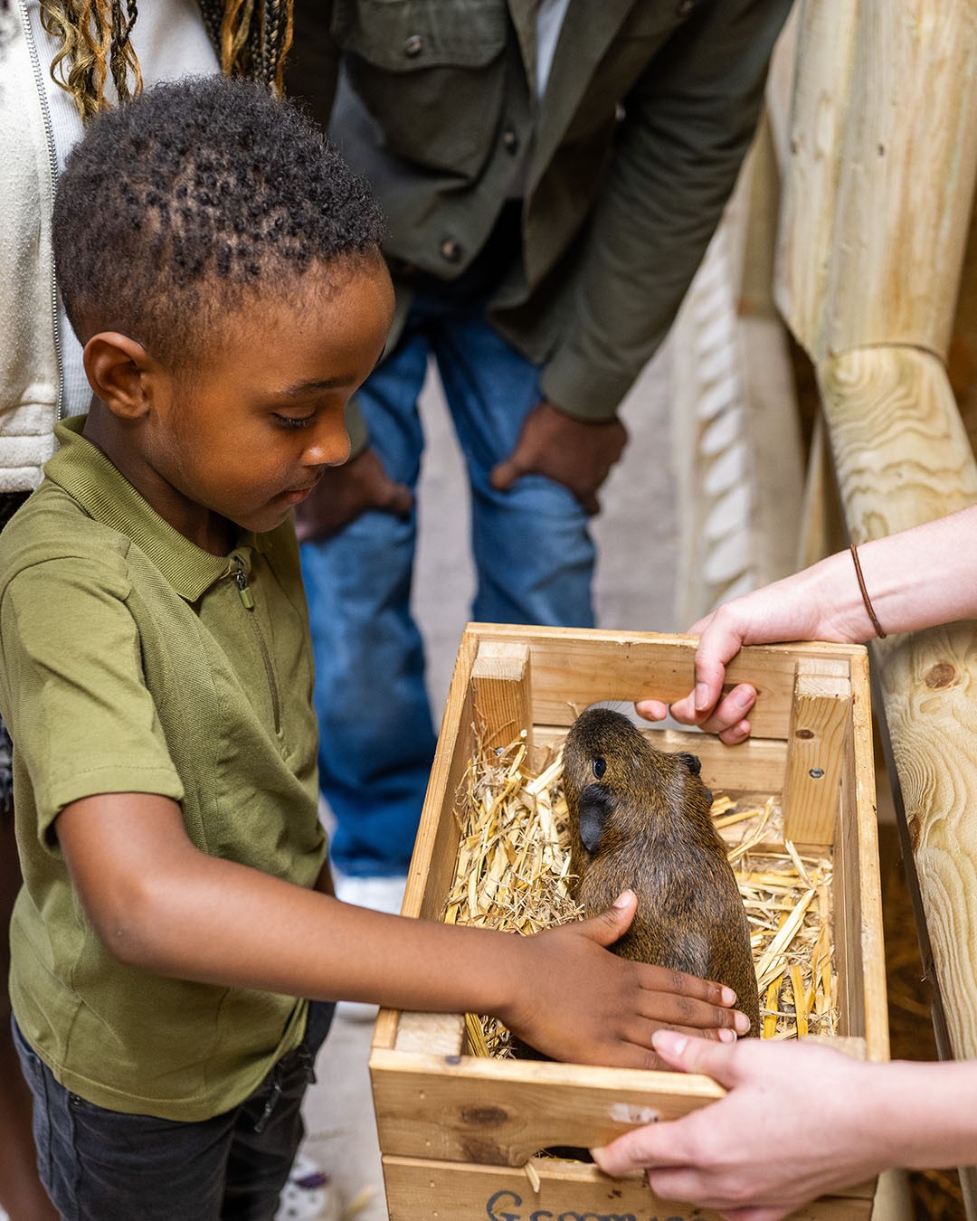 Anytime Ticket Prices