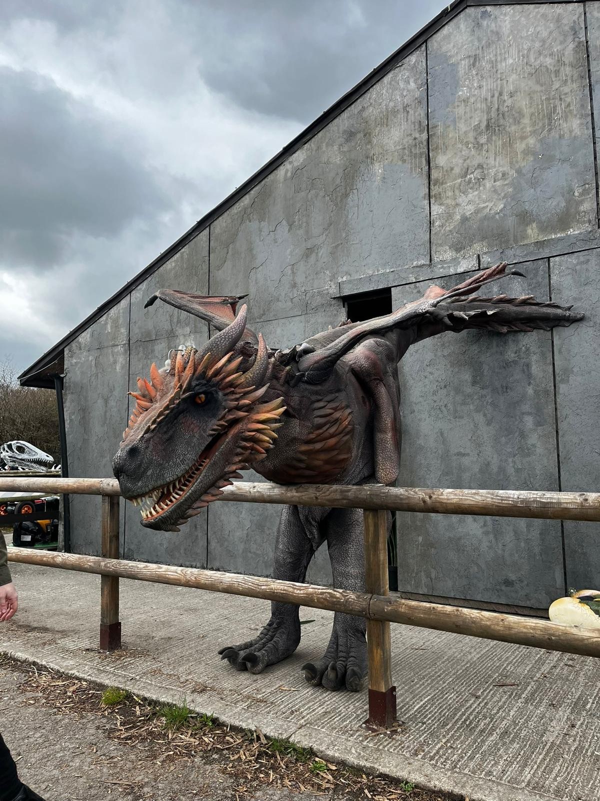 A Dragon's Tale Info