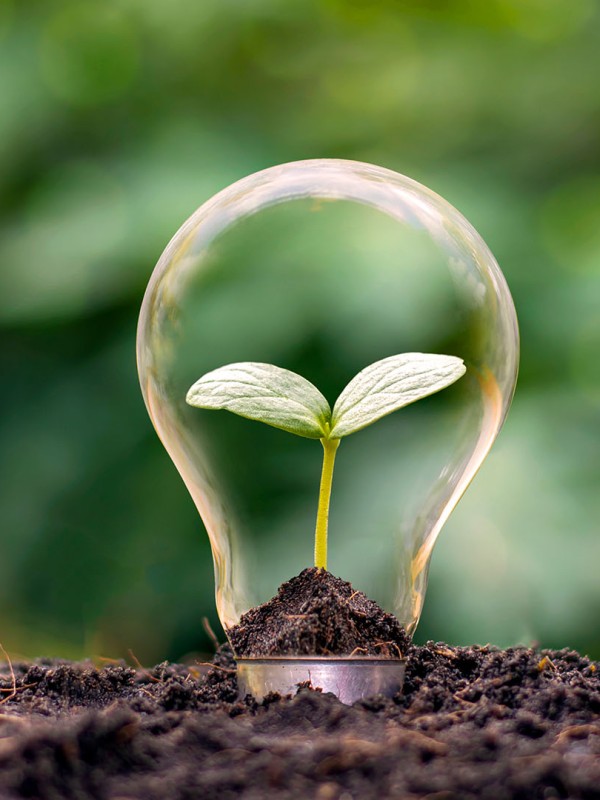 Doing our bit for the Environment