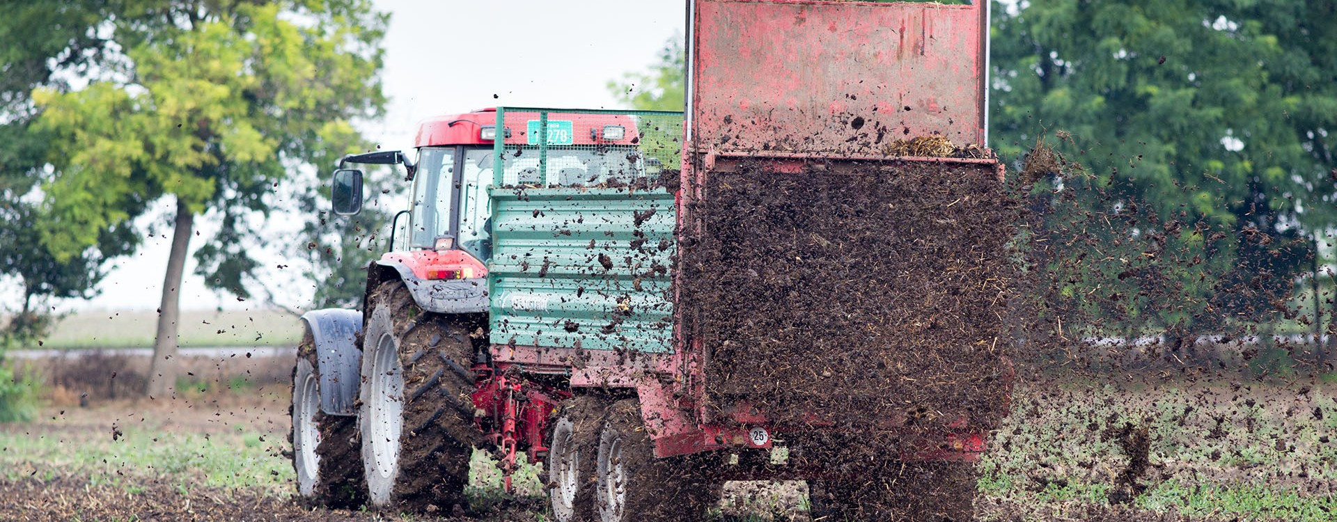 Manure is put back on the land to replenish the soil’s nutrient levels and organic matter.
